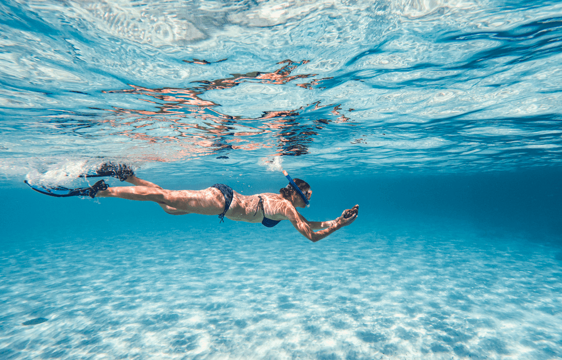 Browse or Tell us what you want